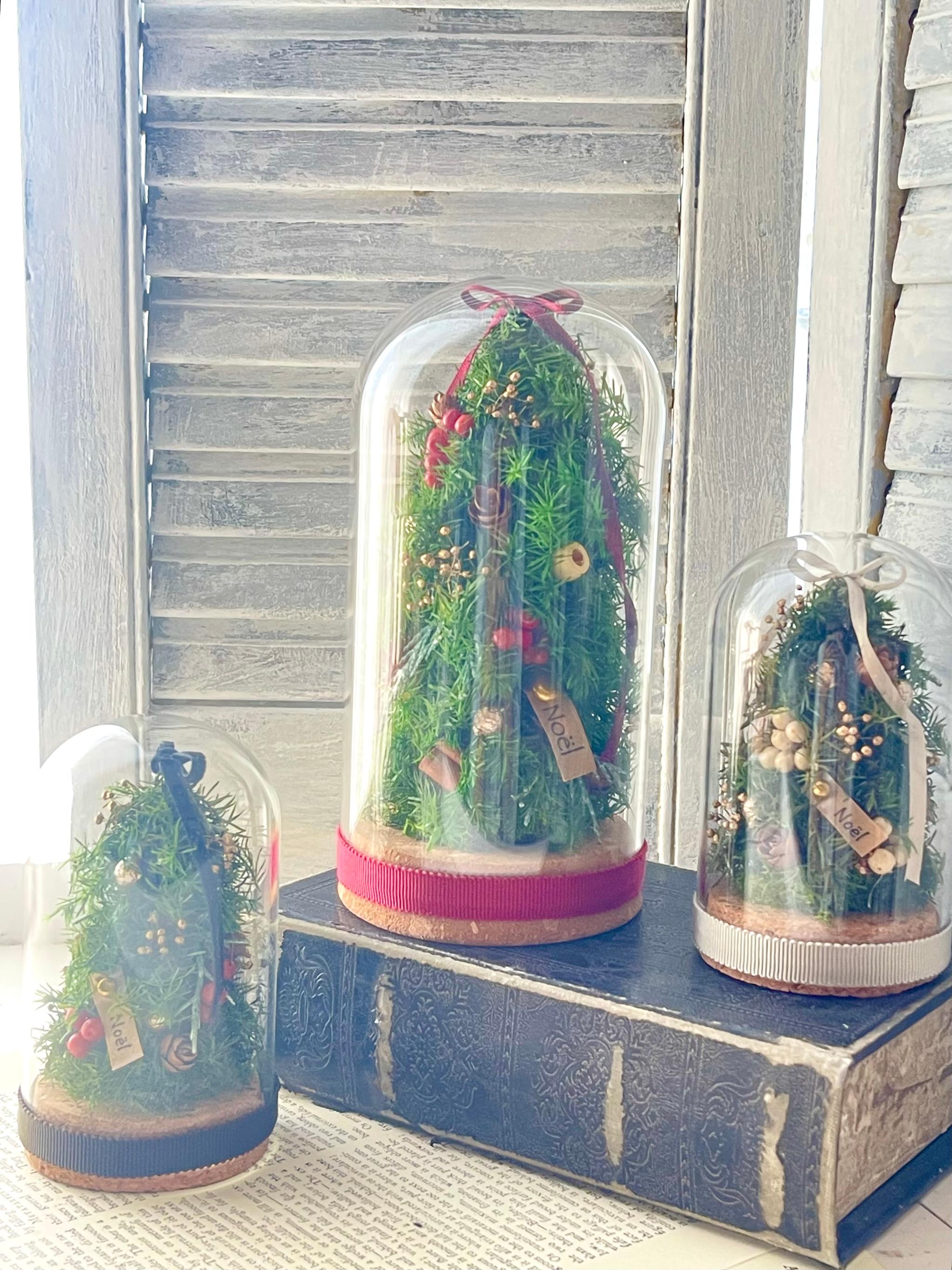 ガラスドーム大サイズ　（プリザーブドフラワー）赤リボンに赤い実